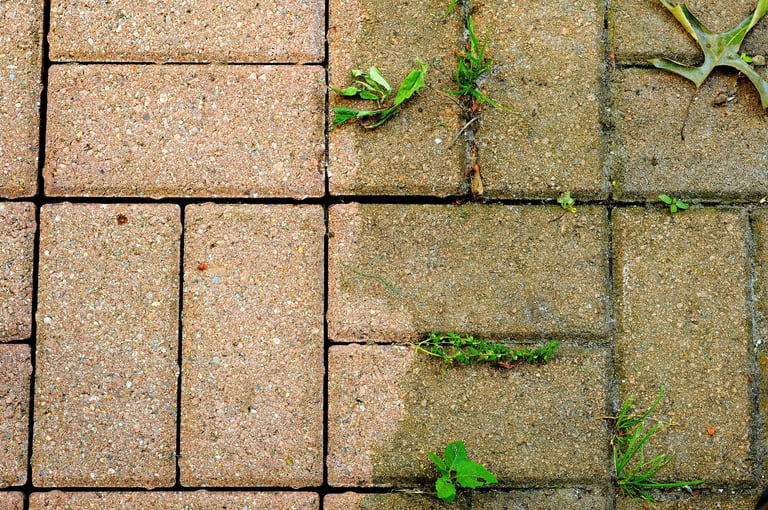 Driveway pressure washing before after