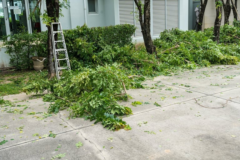 Tree pruning transformation