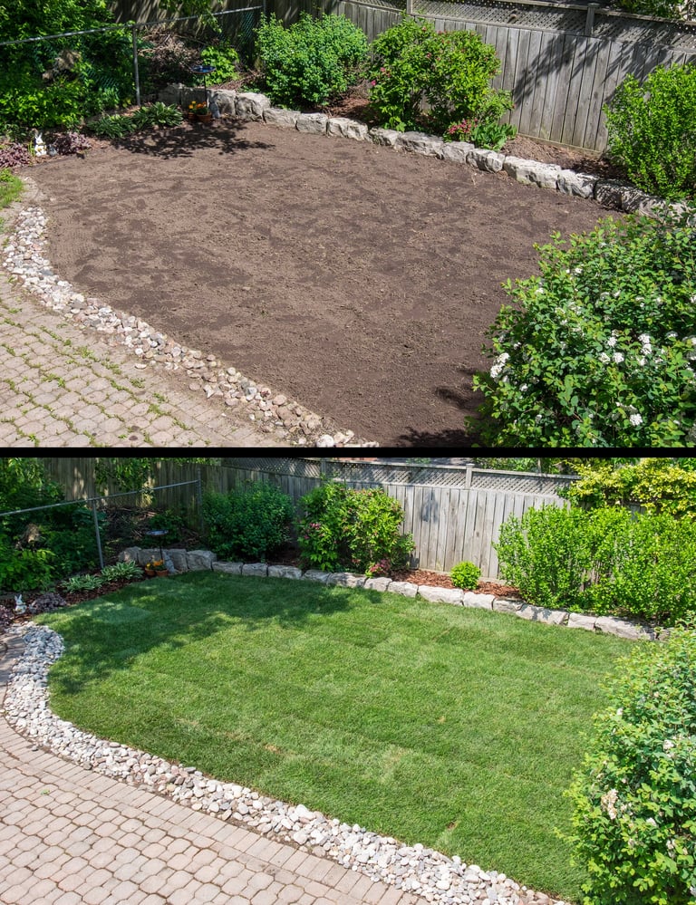 Garden lawn transformation